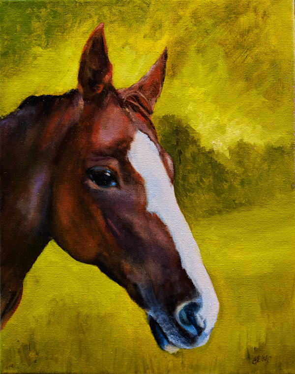 Lulu II by C J Elsip