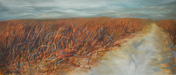 Grasses