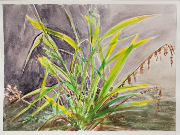Allergic Still Life 2 by Brooke Lanier