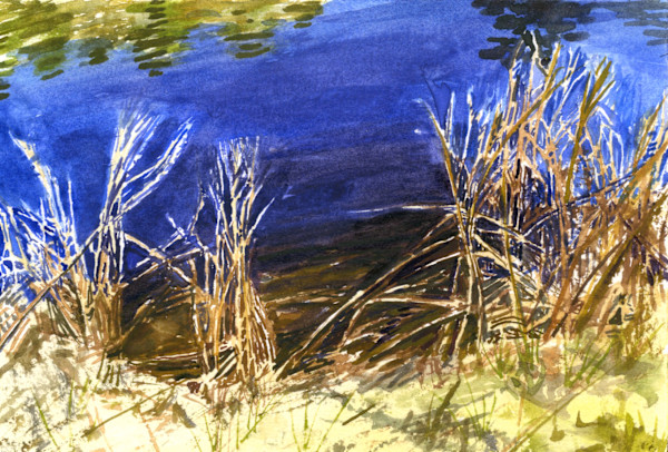 Metter Weeds Quaranteenie by Brooke Lanier