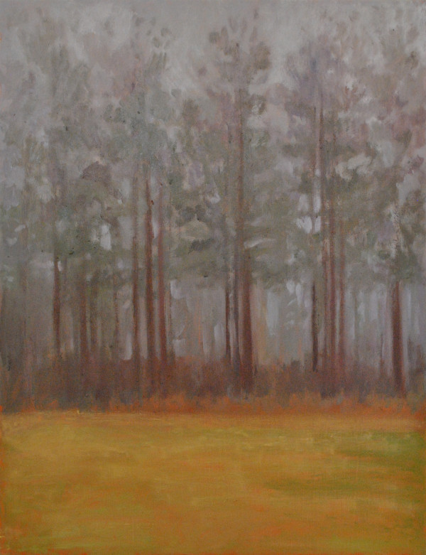 The Pines