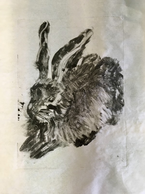 Young Hare - Ode' to Albrecht Durer by Susan Grucci