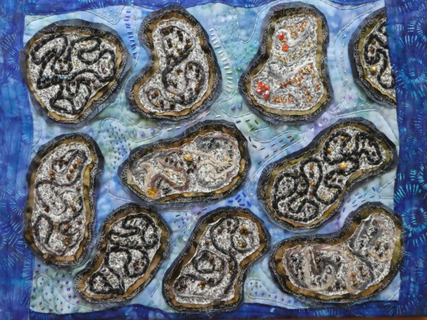 Stromatolites by Janine Judge