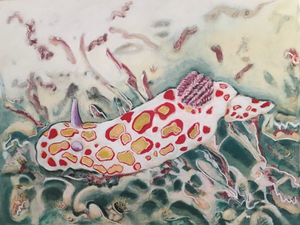 Clown Nudibranch – Sea of Cortez by David Andres