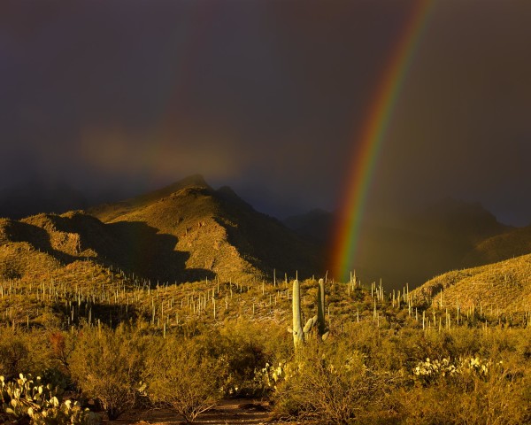 Approaching Winter Shower at Dusk, Sabino Canyon by Gregory Cranwell