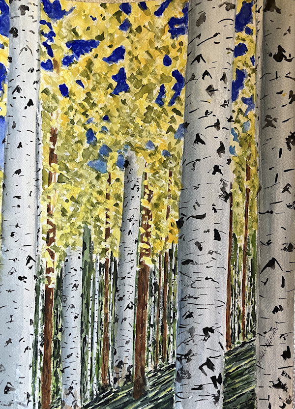 Aspens III by Dr. David Chakmakian
