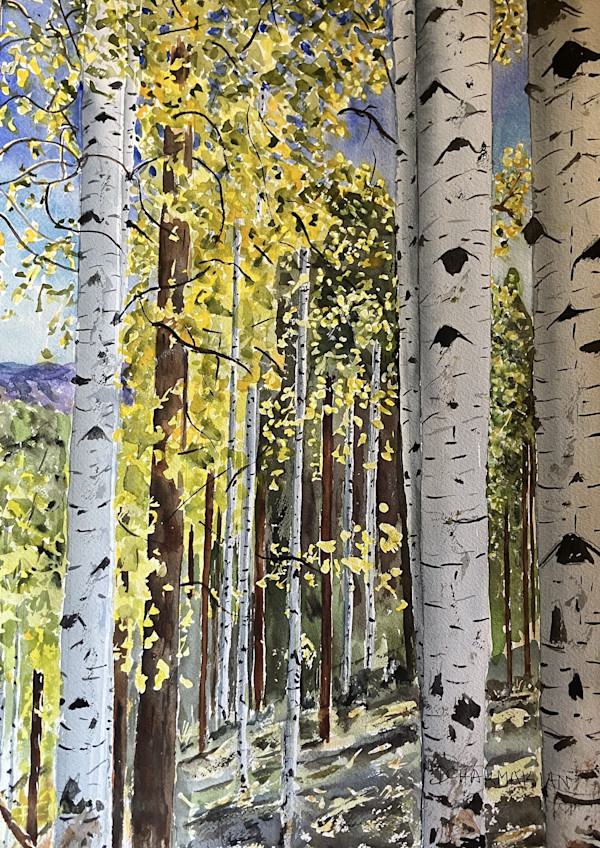 Aspens V by Dr. David Chakmakian