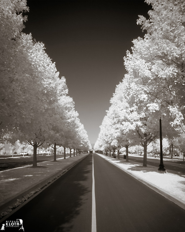 At Keeneland Racetrack, Lexington, KY by Michael Kloth