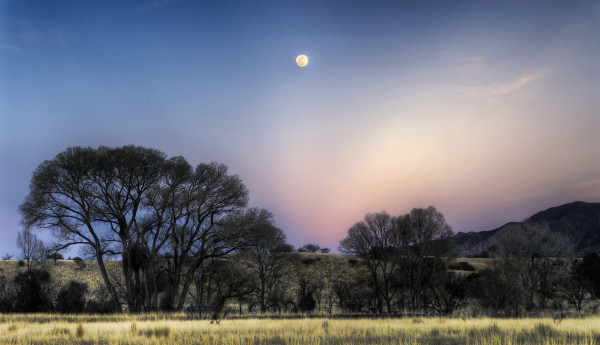 Moonrise over Huachuca Mountains, Canelo    by Bill Steen