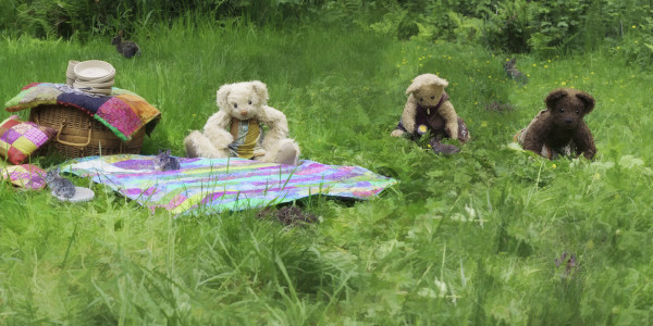 Teddy Bear Picnic by Brandy  Stone