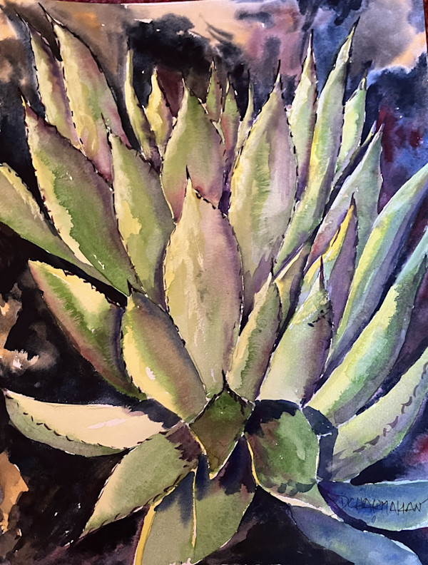Cactus II by Dr. David Chakmakian