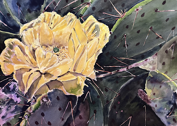 Cactus IV by Dr. David Chakmakian