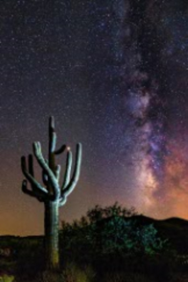 Saguaro and Milky Way by Ernie Schloss