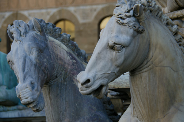 Horses in Florence, Italy by Ed Warner