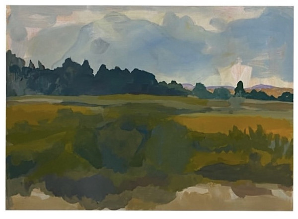 Fox field by Sheila Miles