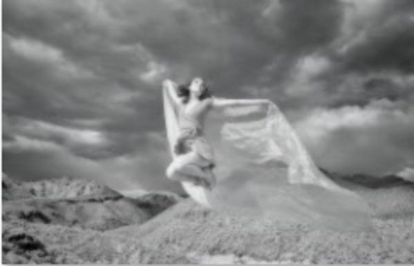 from Dancing in Sabino Canyon series - 53 by Larry Hanelin