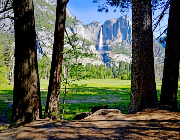 Yosemite Valley by Harold Tretbar