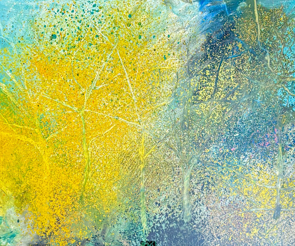 Palo Verde Dream by David Adix, Image 1.