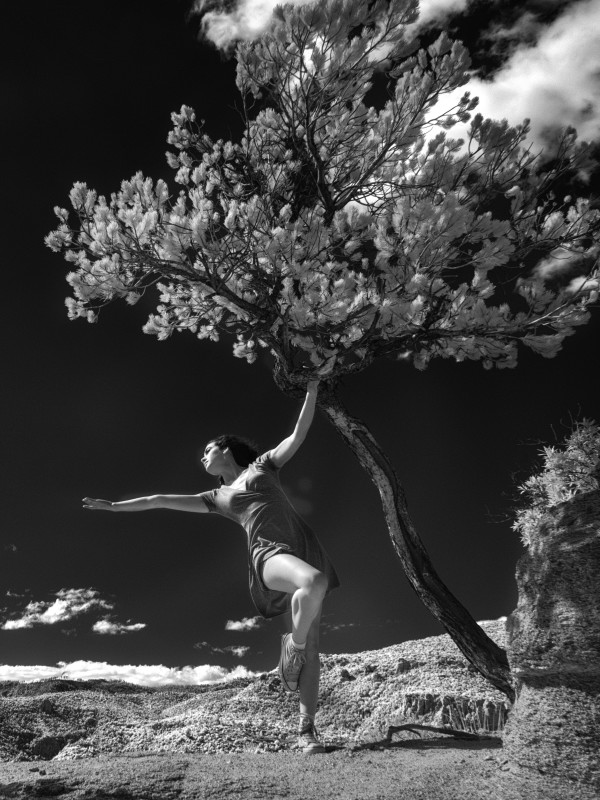 from Dancing at Windy Point series - Gabi 587 by Larry Hanelin