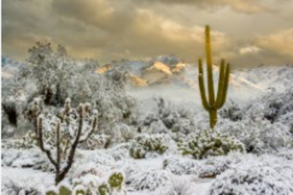 Snowy Landscape by Larry Simkins