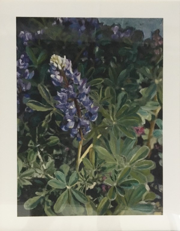 Lupine by Moira Geoffrion