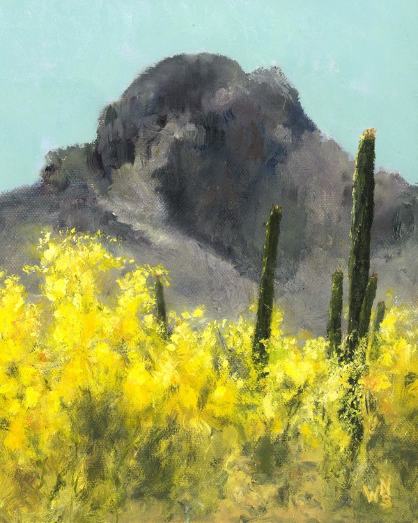 Above the Sonoran Desert, 2023 Series (5) by Nathan Saxton