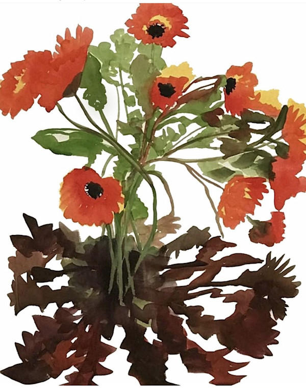 Poppies by Sheila Miles