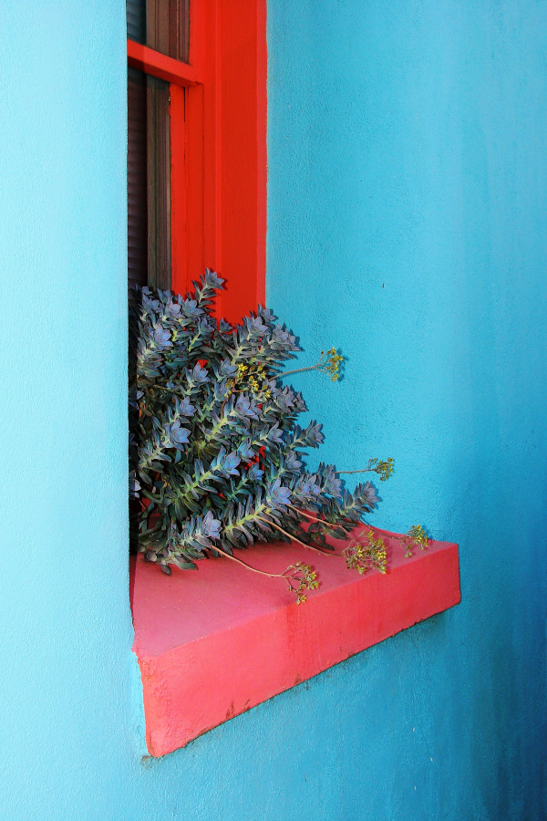 Red Windowsill by Sonja Van Buuren