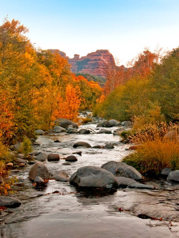 Fall Color in Oak Creek Canyon by Steve Dell