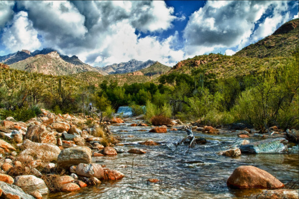 Sabino Canyon by Steve Dell
