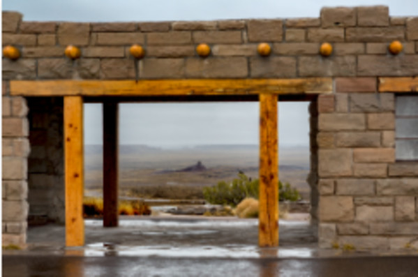 Rainy Day at the Agate Bridge, Petrified Forest by Gregory E McKelvey