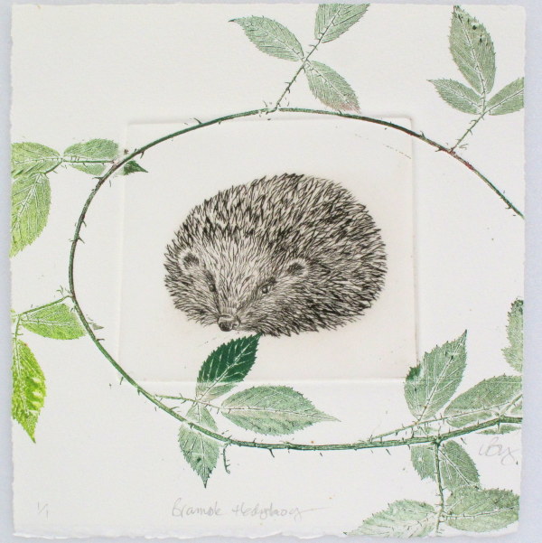 Bramble Hedgehog