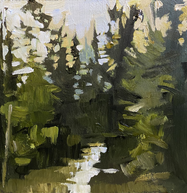 Fairy Creek Study by Holly Ann Friesen