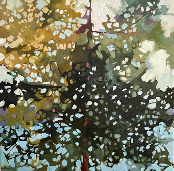 Beyond the Canopy 3 by Holly Ann Friesen