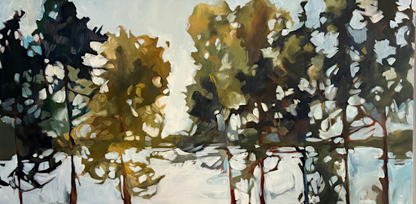 Softening the View by Holly Ann Friesen