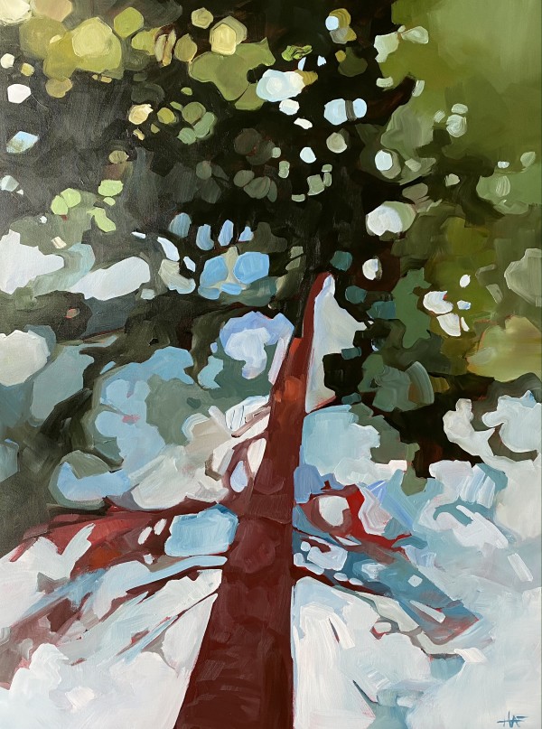 Tall Pine 4 by Holly Ann Friesen