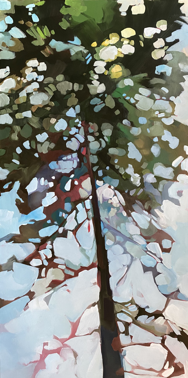 Tall Pine 7 by Holly Ann Friesen
