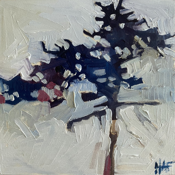 violet pine by Holly Ann Friesen