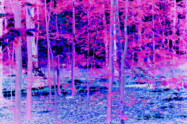 000026330030_Edited_jhzfei_8 by Hyperpop Gallery | Artwork 000026330030_Edited_jhzfei_8 by Hyperpop Gallery | Artwork