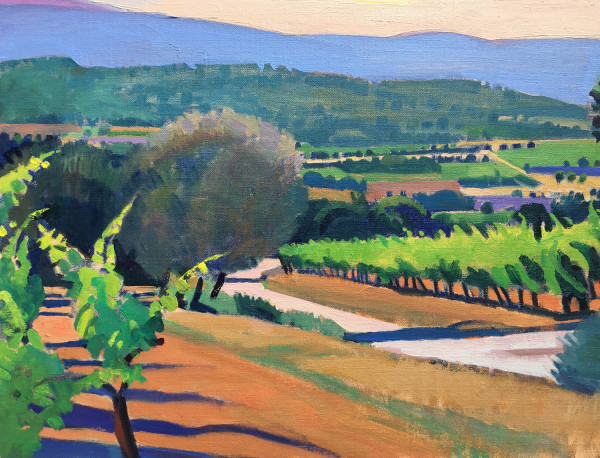 "Olive Trees and Vineyards, Provence" by Susan Abbott