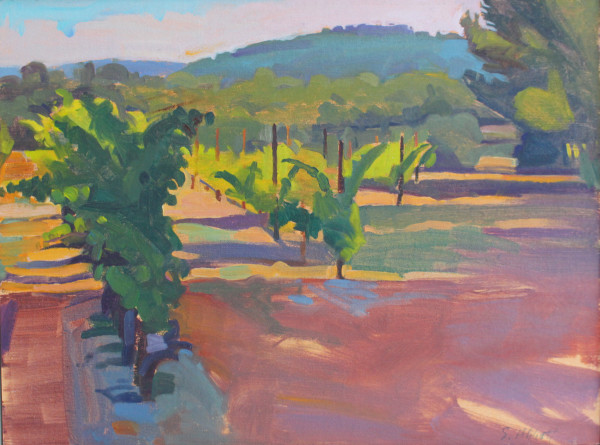 "Vineyard and Mountain at Dusk, Provence" by Susan Abbott