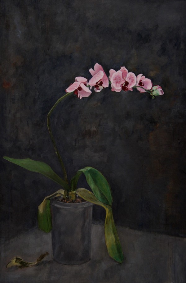 "an Orchid for a Ghost" by Matthew Davey