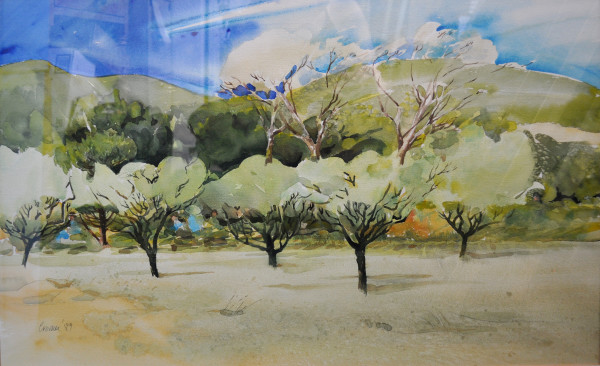 Beyond the Almond Grove by Daniel Cromer