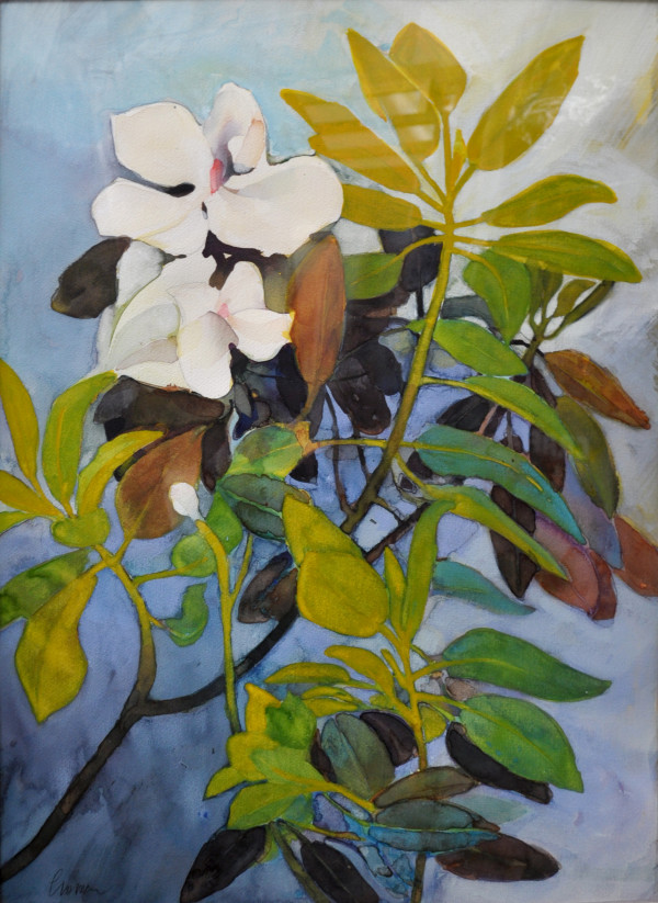 Untitled Magnolia by Daniel Cromer