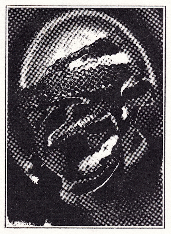 Salvador Dalí's Raptor Head Reveals Its Synthetic Interior of Paranoid Devotion by Philip Hurtig, Image 1.