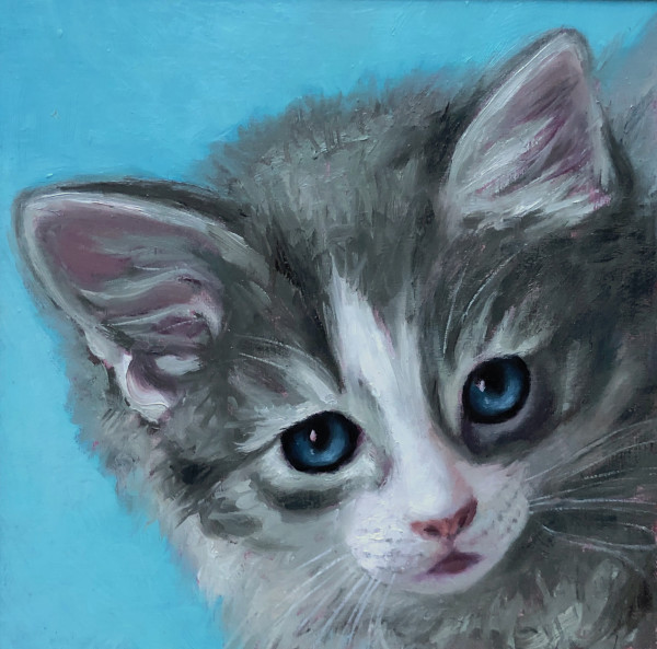 Blue Cream Kitten by Emily Eve Weinstein