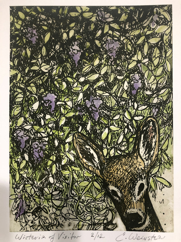 Deer in Wisteria by Emily Eve Weinstein, Image 1.