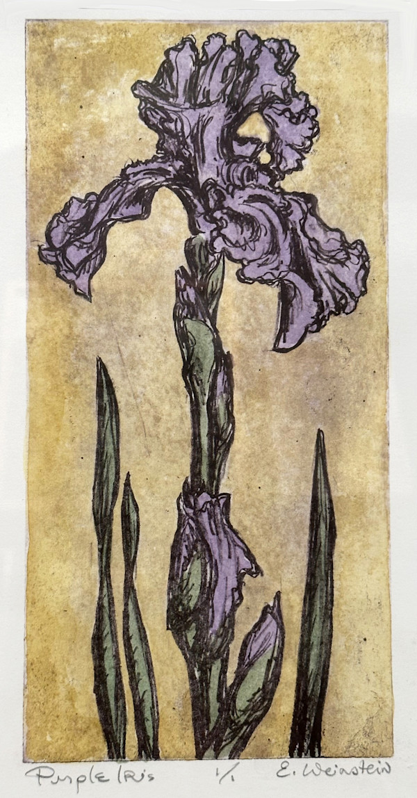 Purple Iris by Emily Eve Weinstein