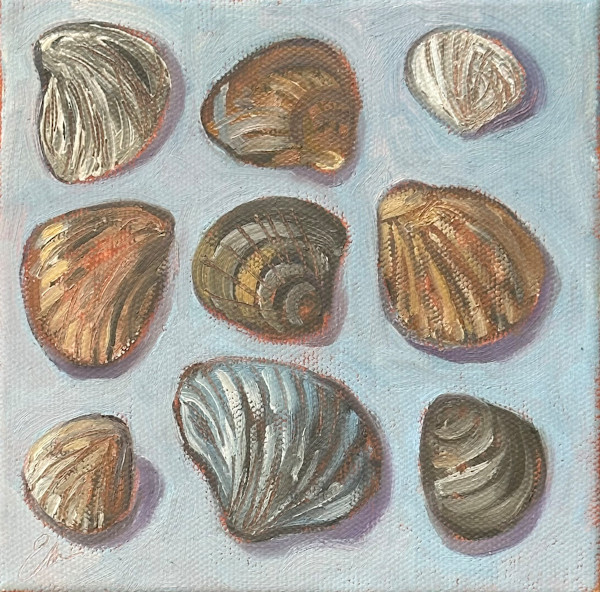 Shell Collection by Emily Eve Weinstein, Image 1.