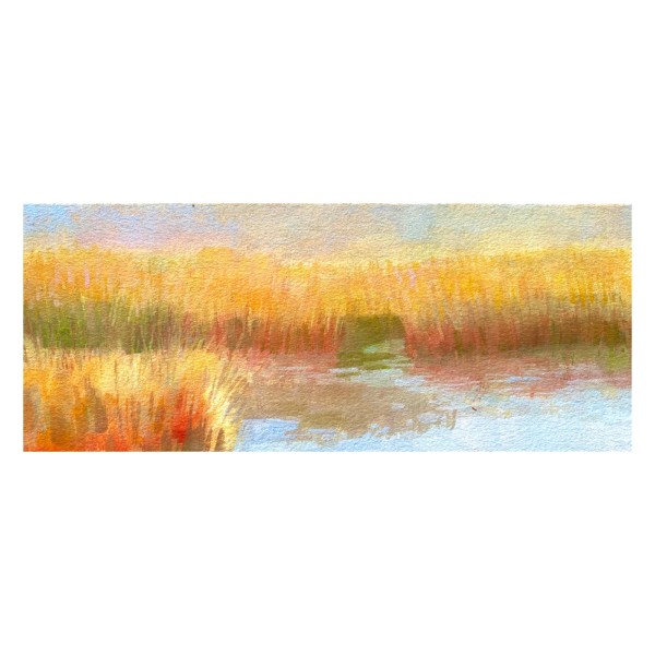 Sunset Marsh on The Cape by Laura Gould